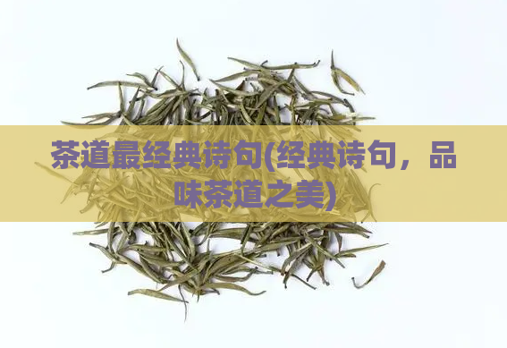 茶道最经典诗句(经典诗句，品味茶道之美)
