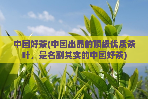 中国好茶(中国出品的顶级优质茶叶，是名副其实的中国好茶)