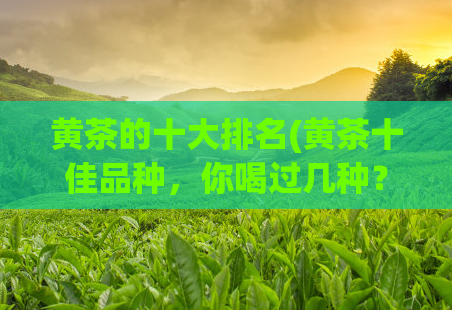 黄茶的十大排名(黄茶十佳品种，你喝过几种？)