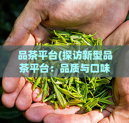 品茶平台(探访新型品茶平台：品质与口味并重)