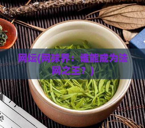 网坛(网球界：谁能成为法网之王？)