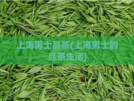上海男士品茶(上海男士的品茶生活)
