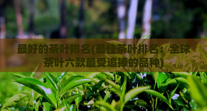 最好的茶叶排名(最佳茶叶排名：全球茶叶六款最受追捧的品种)