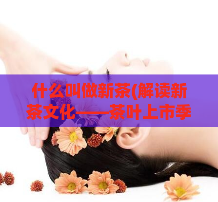 什么叫做新茶(解读新茶文化——茶叶上市季)