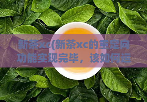 新茶xc(新茶xc的重定向功能实现完毕，该如何运用？)