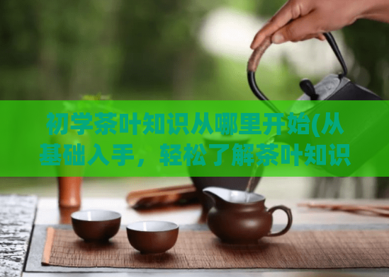 初学茶叶知识从哪里开始(从基础入手，轻松了解茶叶知识！)