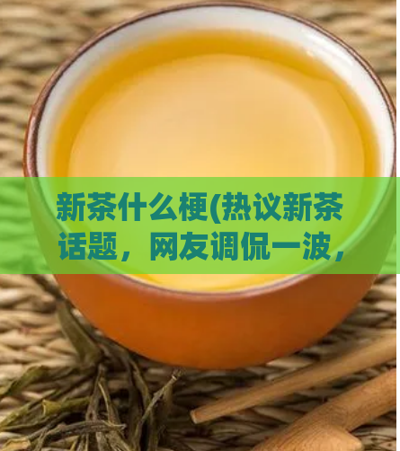 新茶什么梗(热议新茶话题，网友调侃一波，究竟什么梗？——鲜为人知新茶话题被网友调侃)