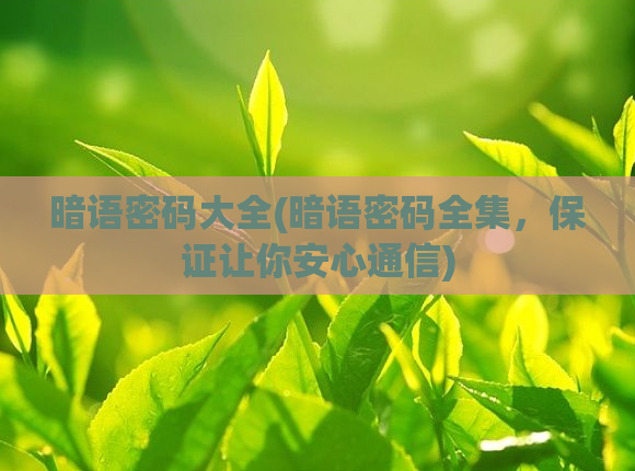 暗语密码大全(暗语密码全集，保证让你安心通信)
