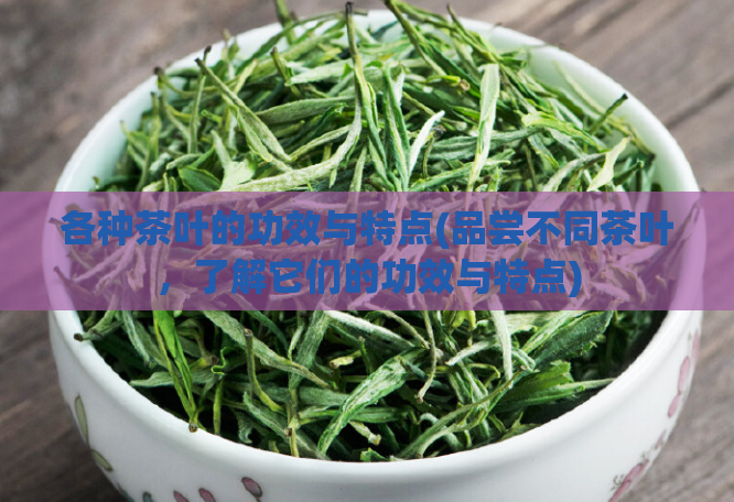 各种茶叶的功效与特点(品尝不同茶叶，了解它们的功效与特点)