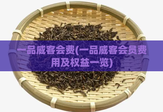 一品威客会费(一品威客会员费用及权益一览)
