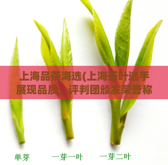 上海品茶海选(上海茶叶选手展现品质，评判团颁发荣誉称号)