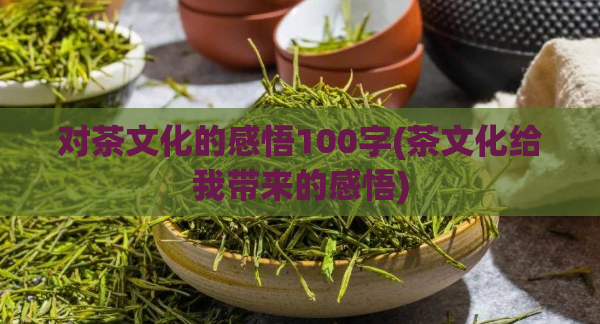 对茶文化的感悟100字(茶文化给我带来的感悟)