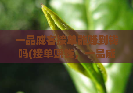 一品威客接单能赚到钱吗(接单赚钱，一品威客是否可信？)