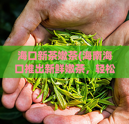 海口新茶嫩茶(海南海口推出新鲜嫩茶,轻松畅饮体验)