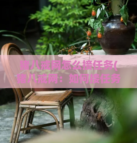 猪八戒网怎么接任务(猪八戒网：如何接任务？)