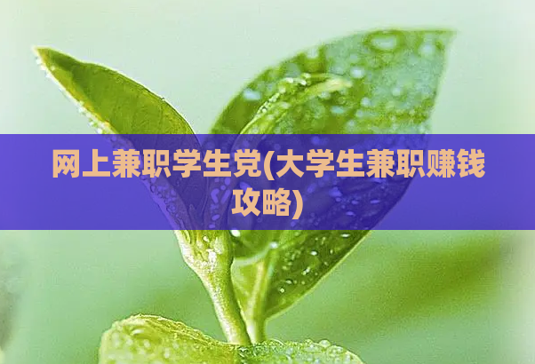网上兼职学生党(大学生兼职赚钱攻略)