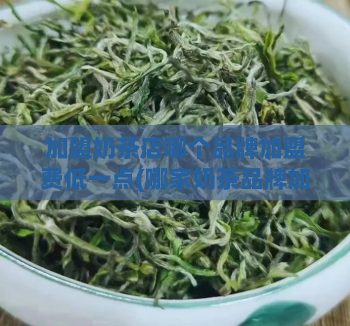 加盟奶茶店哪个品牌加盟费低一点(哪家奶茶品牌加盟费最低？精选几个实惠的优质品牌)