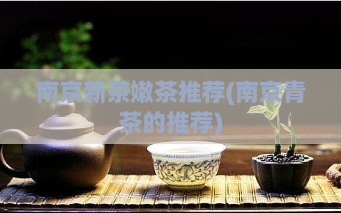 南京新茶嫩茶推荐(南京青茶的推荐)