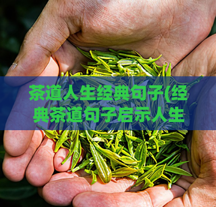 茶道人生经典句子(经典茶道句子启示人生，50字以内)