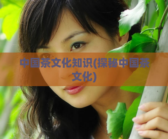 中国茶文化知识(探秘中国茶文化)