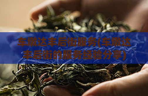 车墩达丰后街服务(车墩达丰后街的服务经验分享)