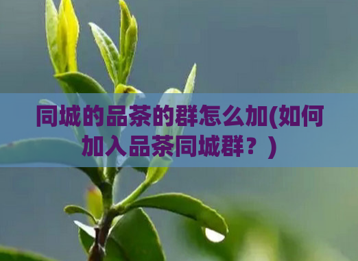 同城的品茶的群怎么加(如何加入品茶同城群？)