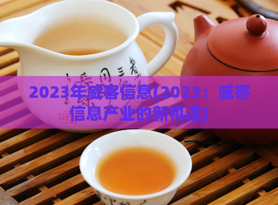 2023年威客信息(2023：威客信息产业的新机遇)