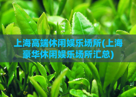 上海高端休闲娱乐场所(上海豪华休闲娱乐场所汇总)