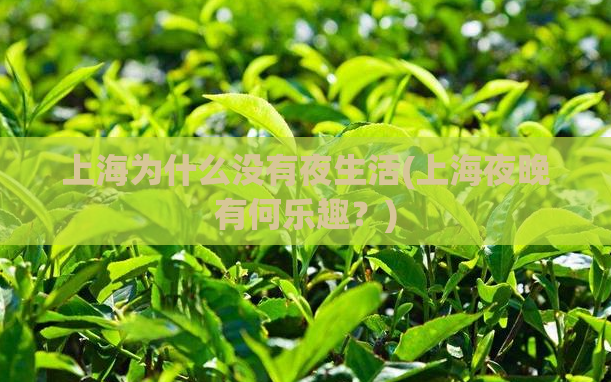 上海为什么没有夜生活(上海夜晚有何乐趣？)