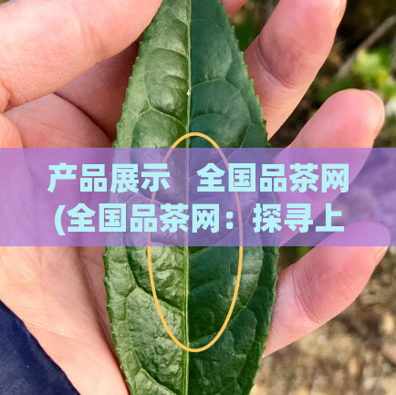 产品展示   全国品茶网(全国品茶网：探寻上乘茶香，品味茶叶文化)