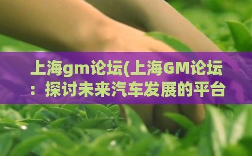 上海gm论坛(上海GM论坛：探讨未来汽车发展的平台)