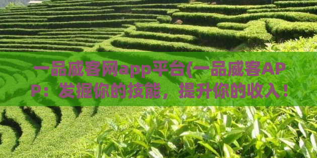 一品威客网app平台(一品威客APP：发掘你的技能，提升你的收入！)