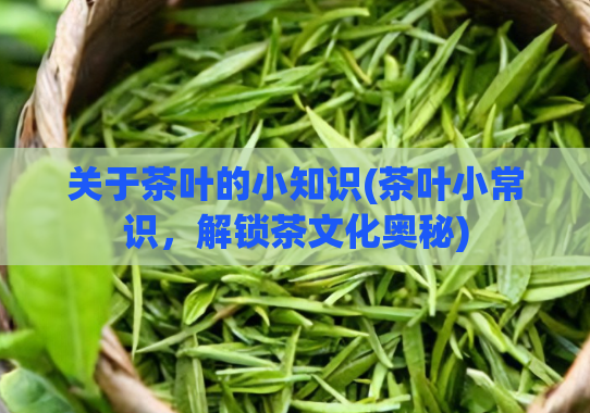 关于茶叶的小知识(茶叶小常识，解锁茶文化奥秘)
