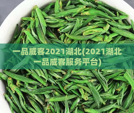 一品威客2021湖北(2021湖北一品威客服务平台)