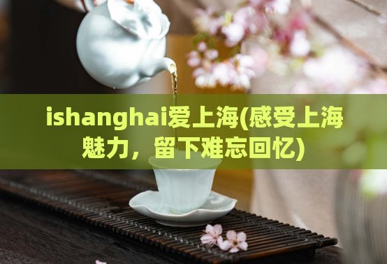 ishanghai爱上海(感受上海魅力，留下难忘回忆)
