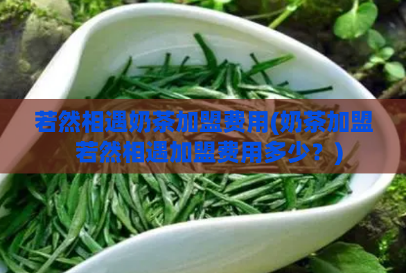 若然相遇奶茶加盟费用(奶茶加盟  若然相遇加盟费用多少？)