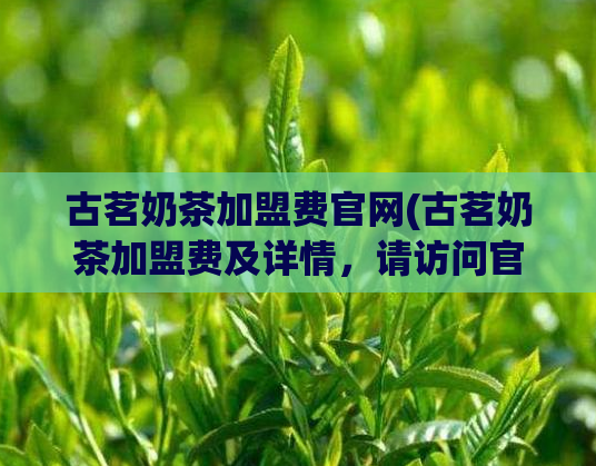 古茗奶茶加盟费官网(古茗奶茶加盟费及详情，请访问官网)