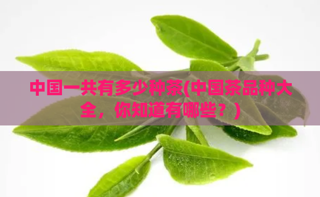 中国一共有多少种茶(中国茶品种大全，你知道有哪些？)
