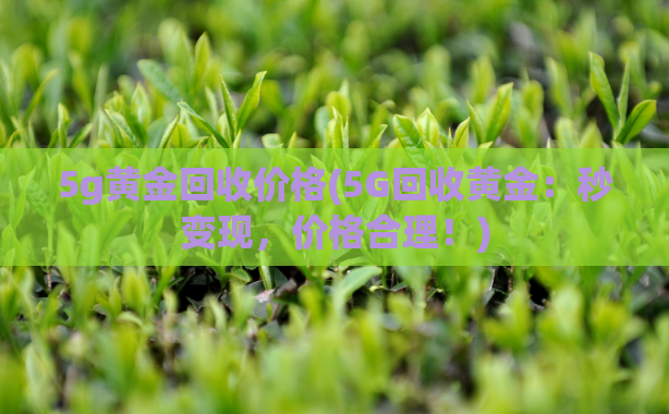 5g黄金回收价格(5G回收黄金：秒变现，价格合理！)