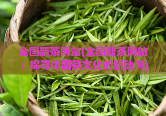 全国新茶网站(全国新茶网站：探寻中国茶文化的新动向)