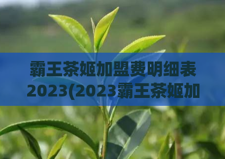 霸王茶姬加盟费明细表2023(2023霸王茶姬加盟费用清单详解)