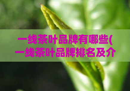 一线茶叶品牌有哪些(一线茶叶品牌排名及介绍)