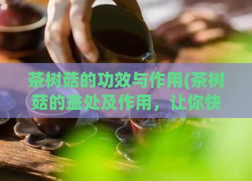 茶树菇的功效与作用(茶树菇的益处及作用，让你快乐享受健康生活)
