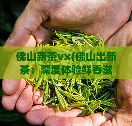 佛山新茶vx(佛山出新茶：深度体验鲜香滋味)