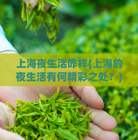 上海夜生活咋样(上海的夜生活有何精彩之处？)