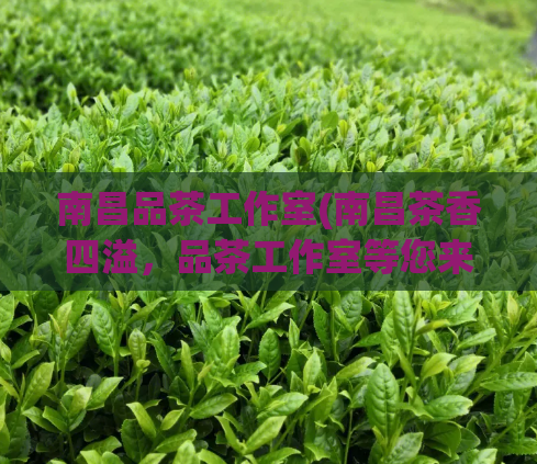 南昌品茶工作室(南昌茶香四溢，品茶工作室等您来品鉴)