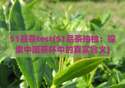 51品茶test(51品茶抽检：探索中国茶杯中的真实含义)
