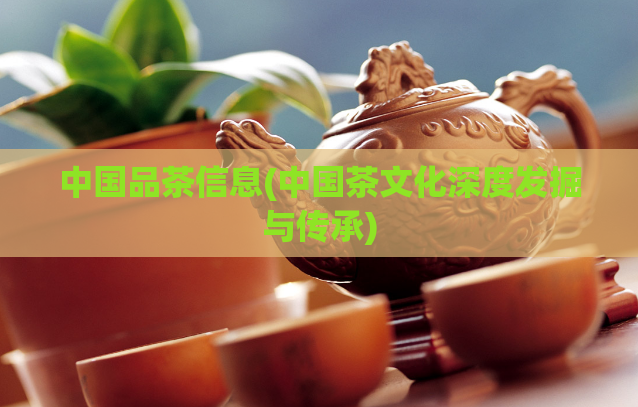 中国品茶信息(中国茶文化深度发掘与传承)