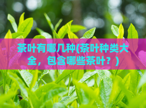 茶叶有哪几种(茶叶种类大全，包含哪些茶叶？)
