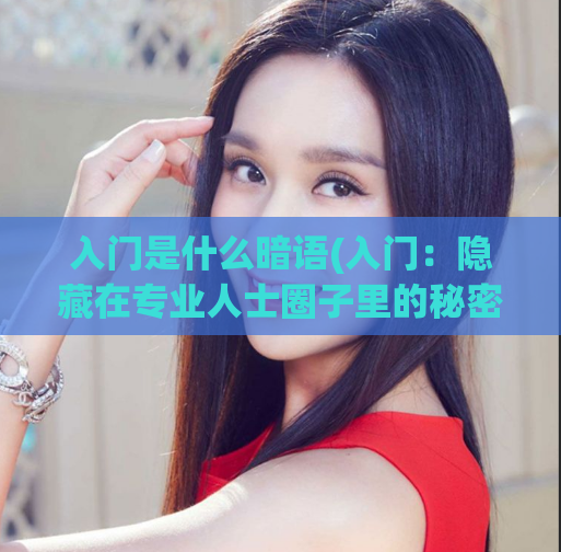 入门是什么暗语(入门：隐藏在专业人士圈子里的秘密语言)